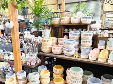 お店の写真4
