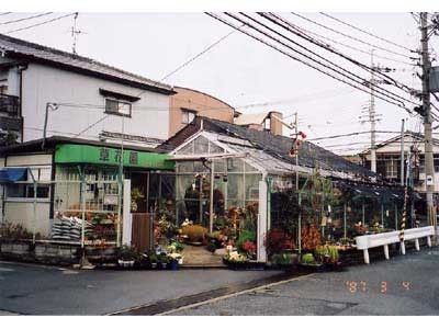 お店の写真１